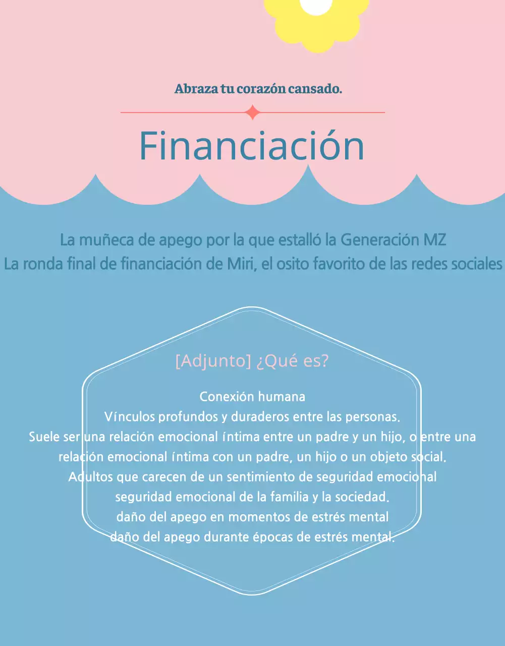 Una propuesta de financiación para un muñeco de peluche rosa y azul claro
