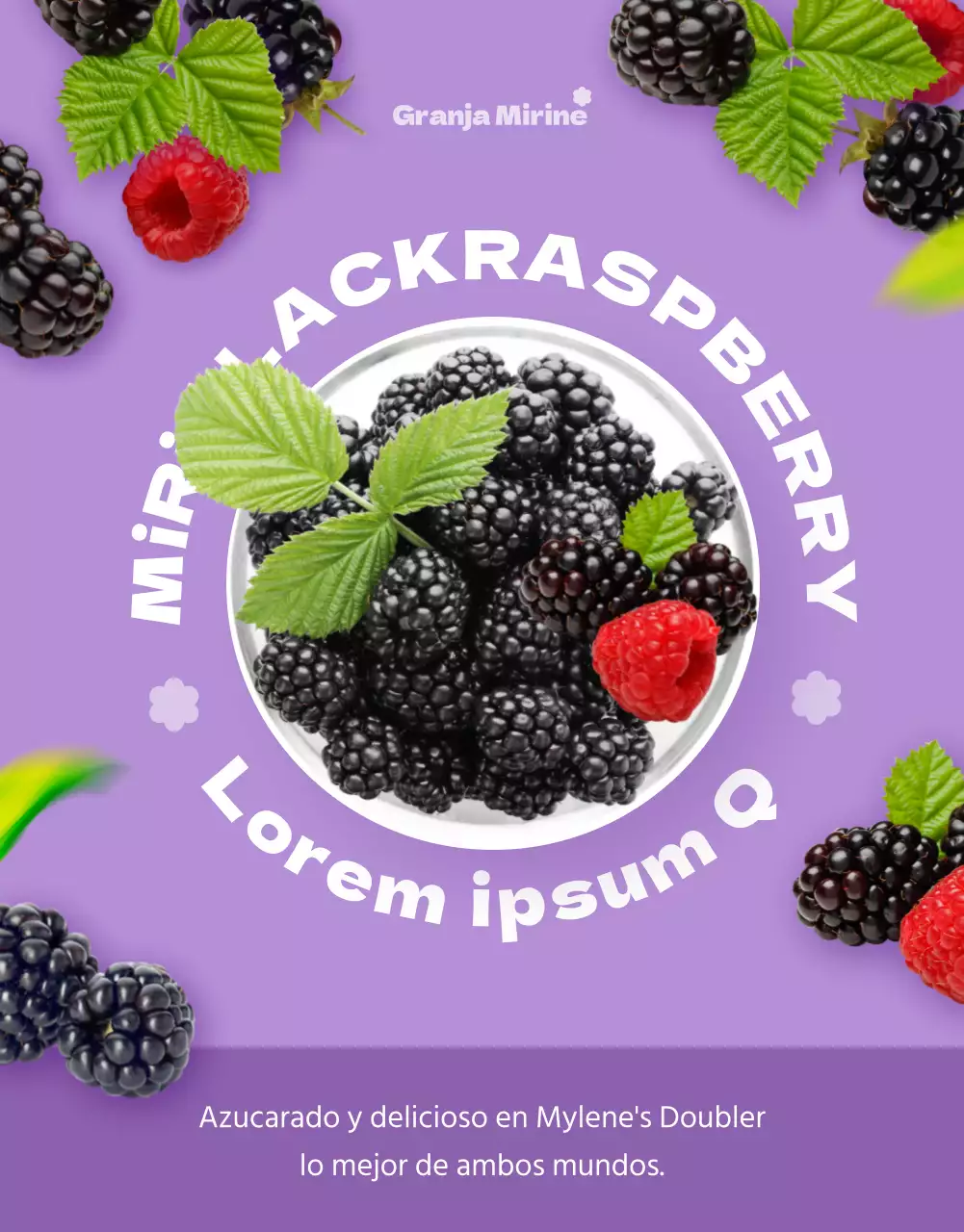 Un sencillo y bonito jubón malva y blanco