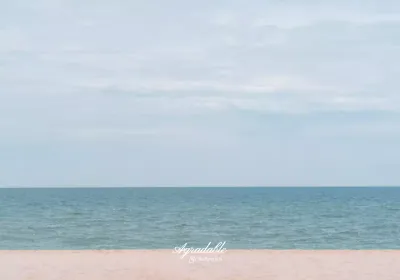 Recuerdos turísticos con fotos reales de emotivos campos verdes al atardecer