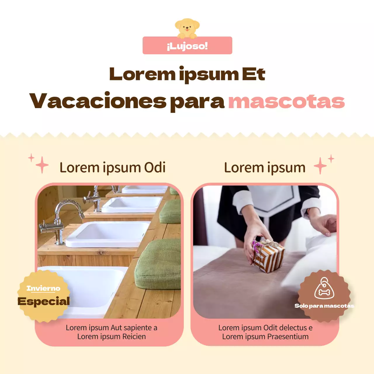 Promover un hotel para perros rosa, cálido y mimoso (CardNews)