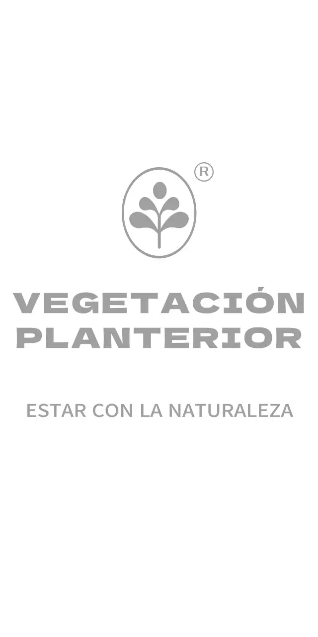 Maceteros ecológicos naturales con ilustraciones de hojas de algodón