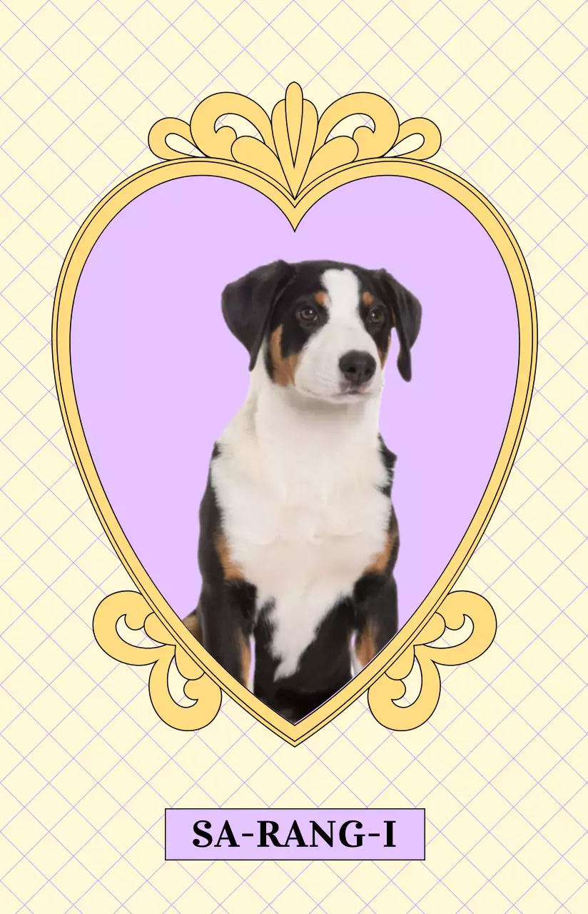 Un lujoso marco antiguo en forma de corazón con una colorida foto de su mascota.