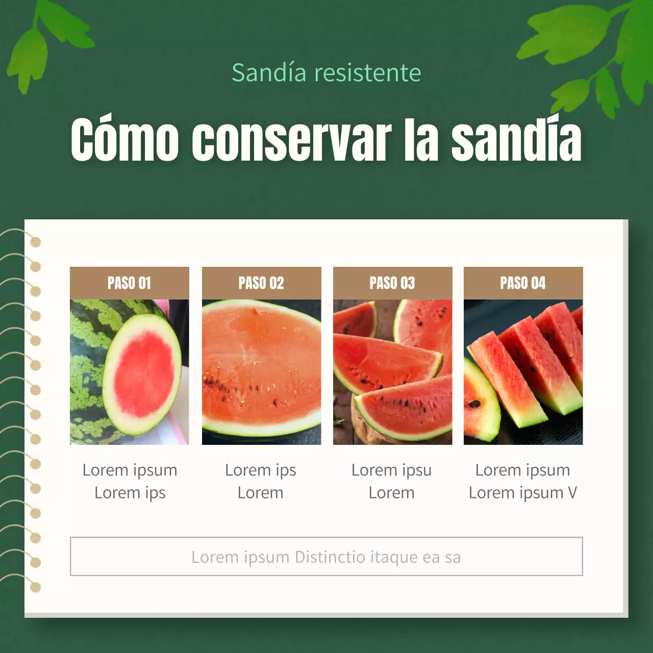 Explicación de los consejos para elegir una sandía tropical roja y verde