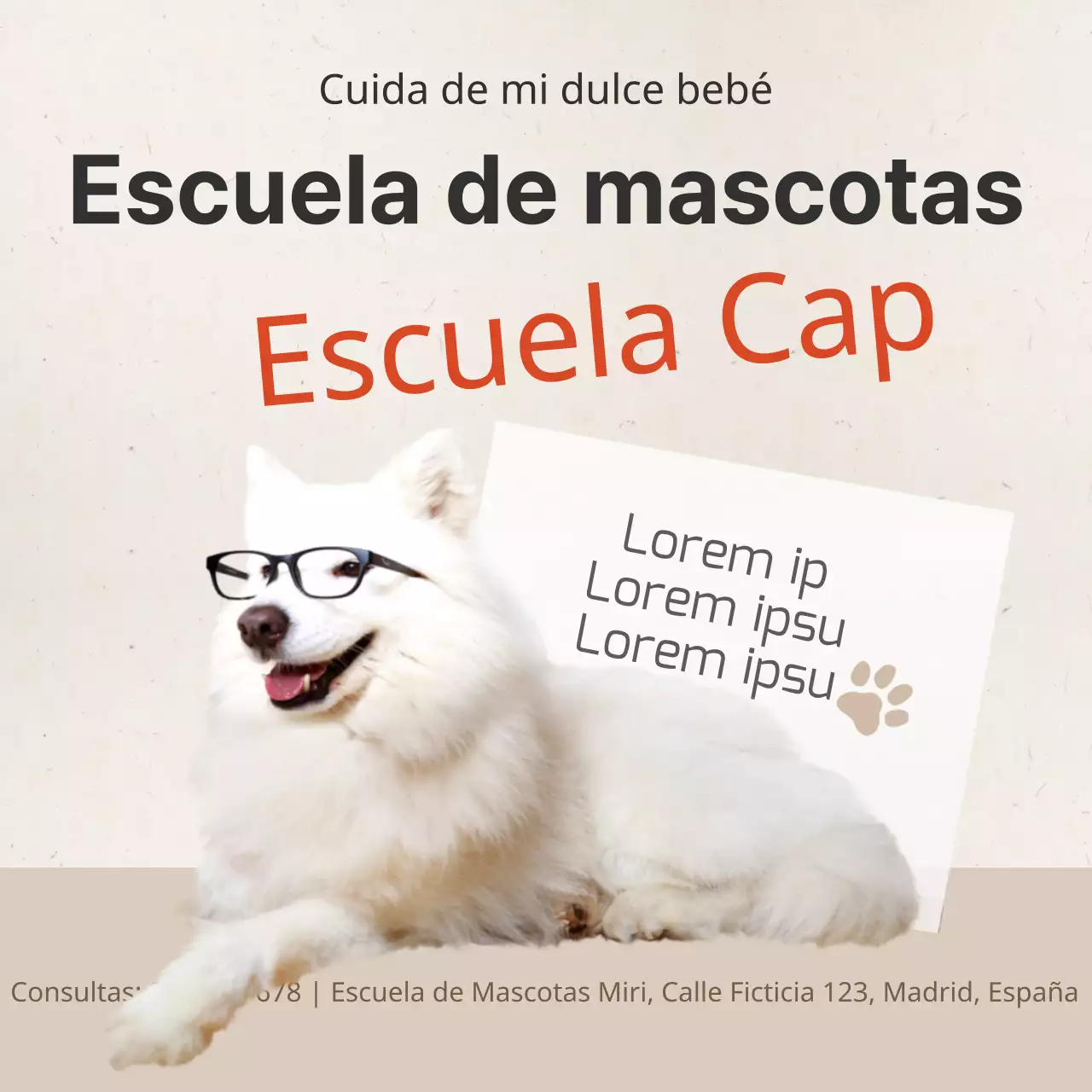 Escuela de mascotas
