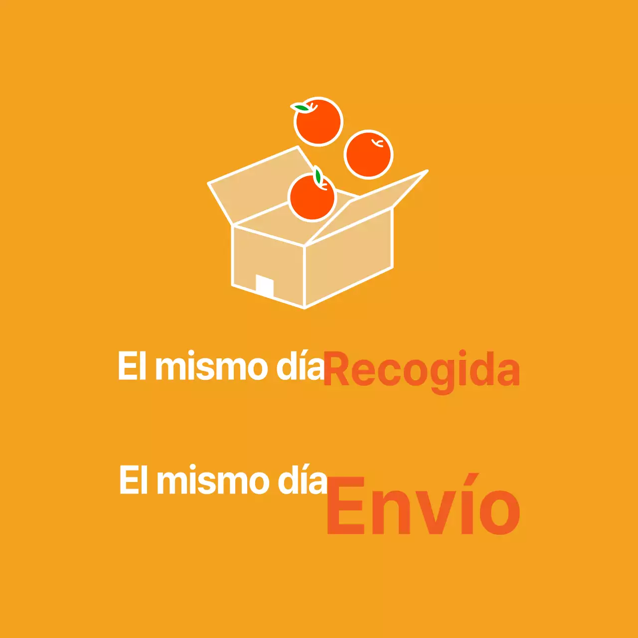 Produce_Cosecha diaria