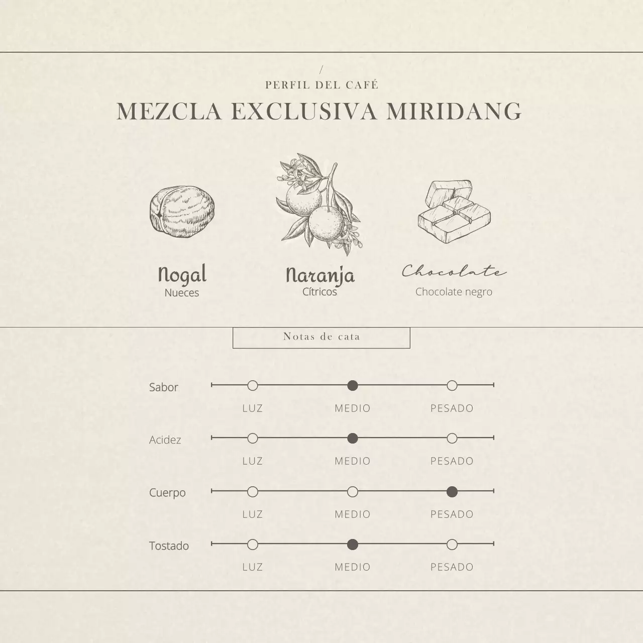 Granos de café en marrón beige Foto Vintage café en Point