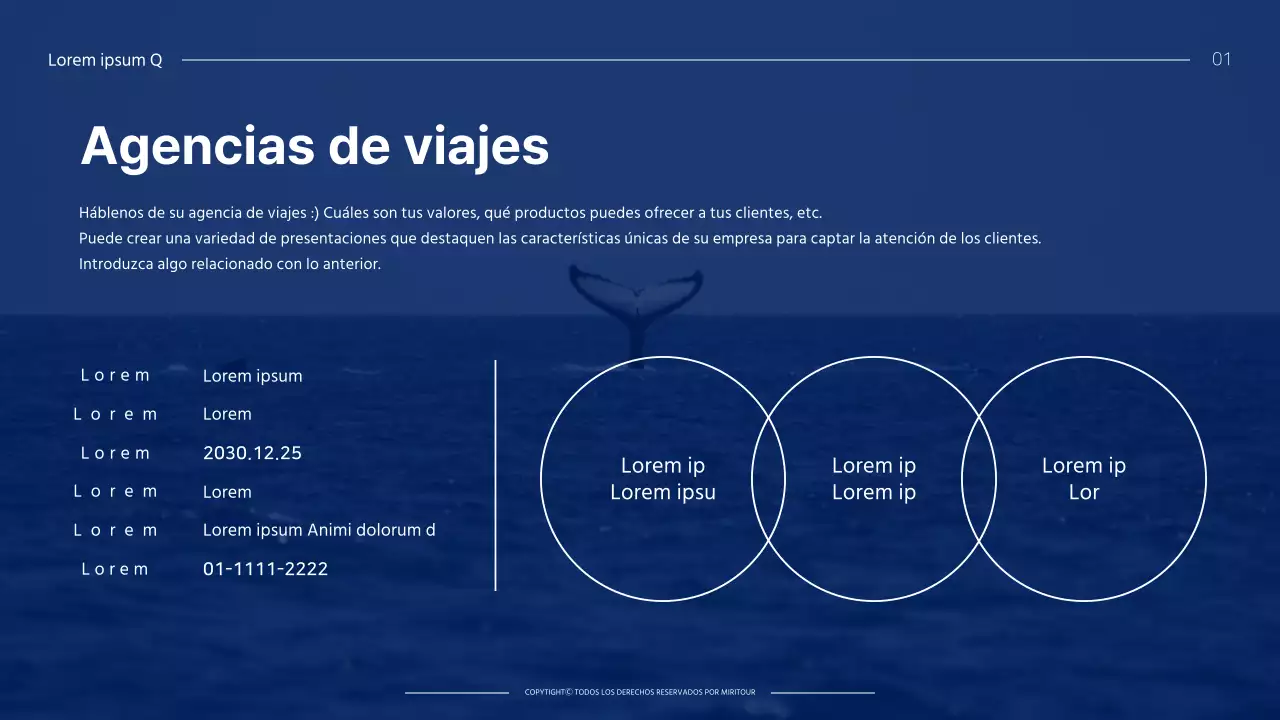 Guía de productos de viaje de temática morada