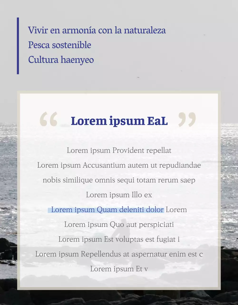 Fondos para palillos en azul marino y beige