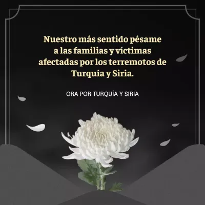 Los orígenes de la restauración de Turkiye Siria sobre fondo negro oscuro