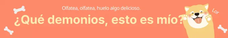 Adhesivos para paquetes