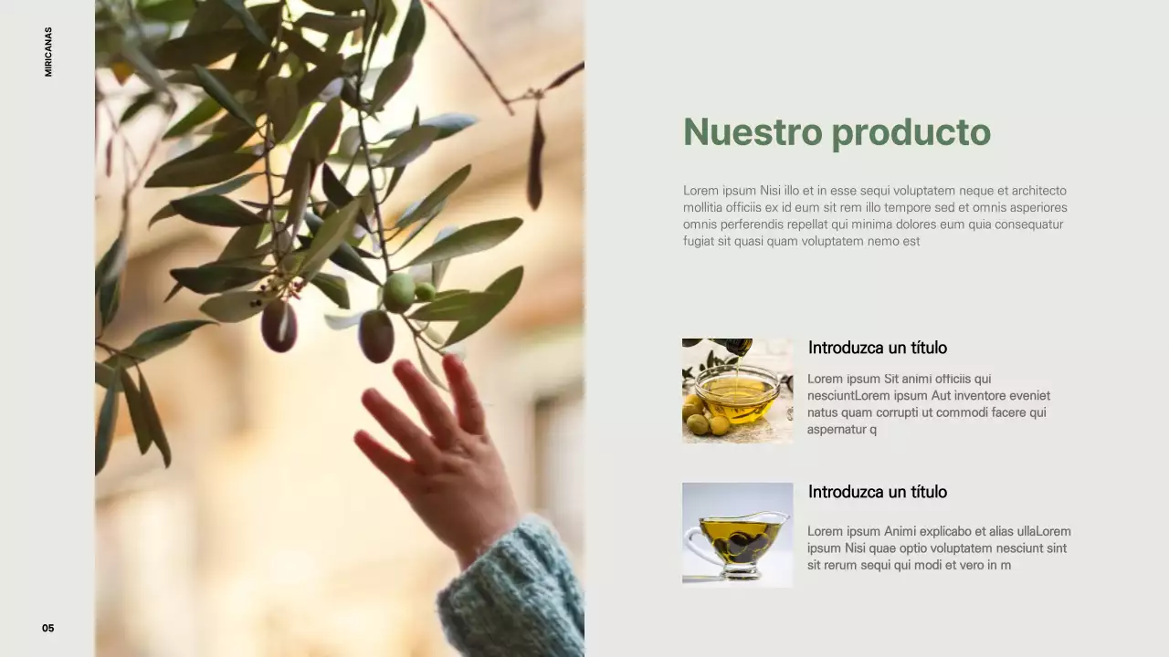 Perfil de la empresa