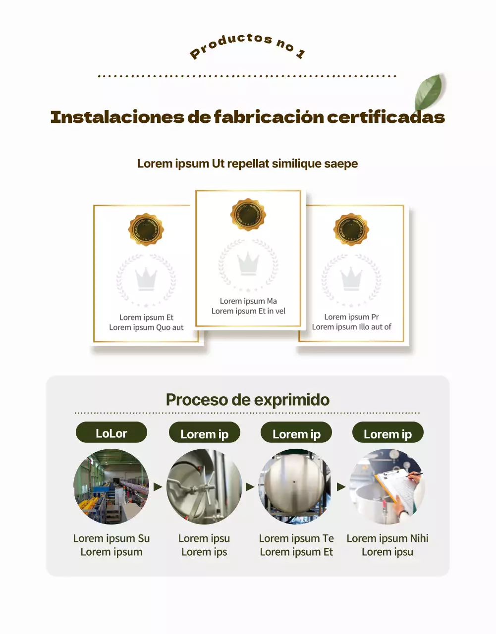 Una introducción brillante y limpia a los zumos saludables (página detallada)