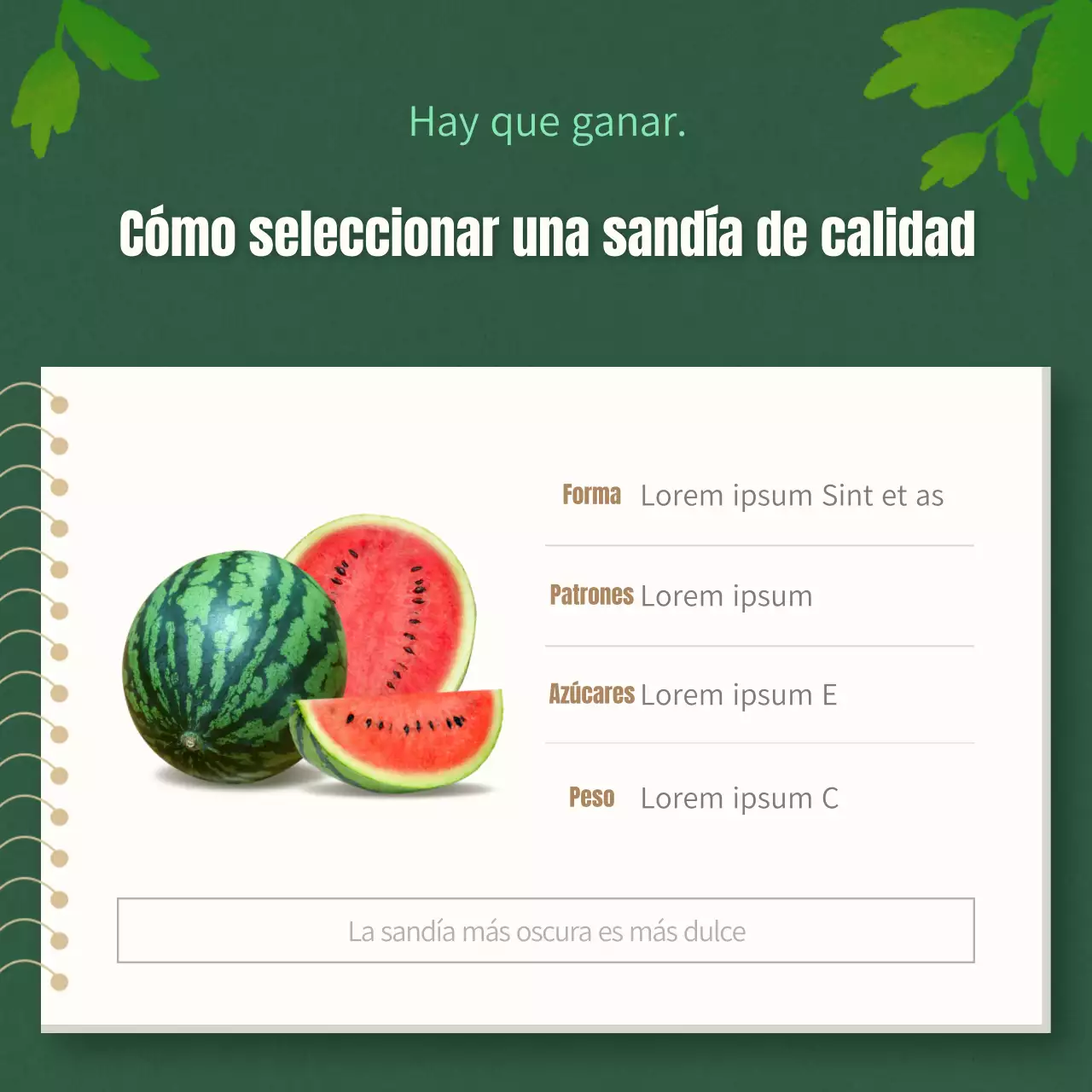 Explicación de los consejos para elegir una sandía tropical roja y verde