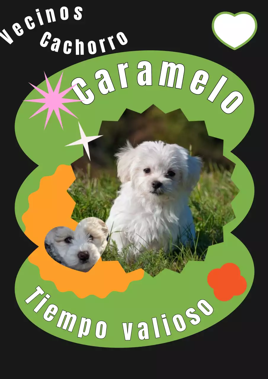  Bonita portada con un perrito