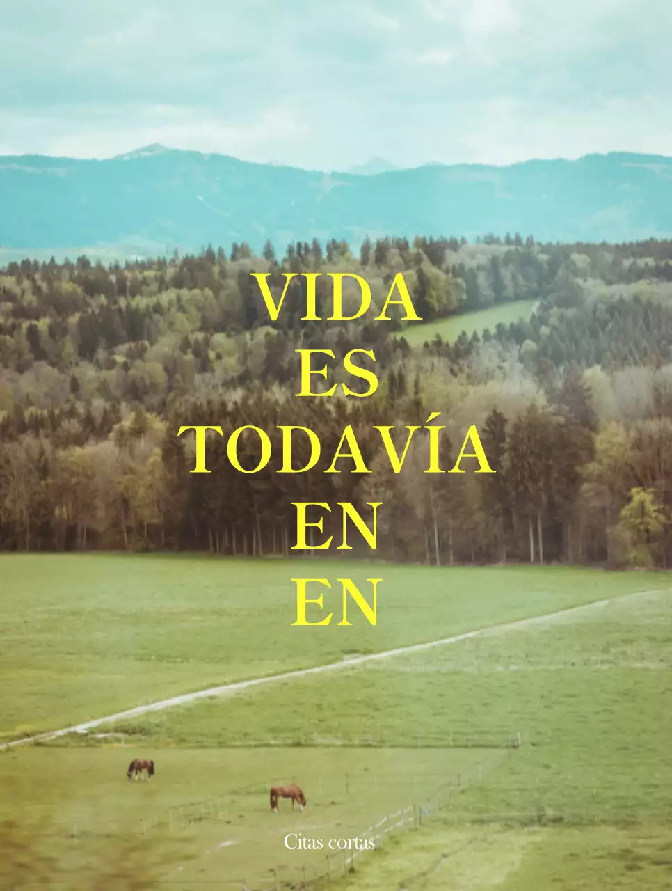 Mercancía con emotivas fotos de paisajes en blanco y amarillo y textos emotivos