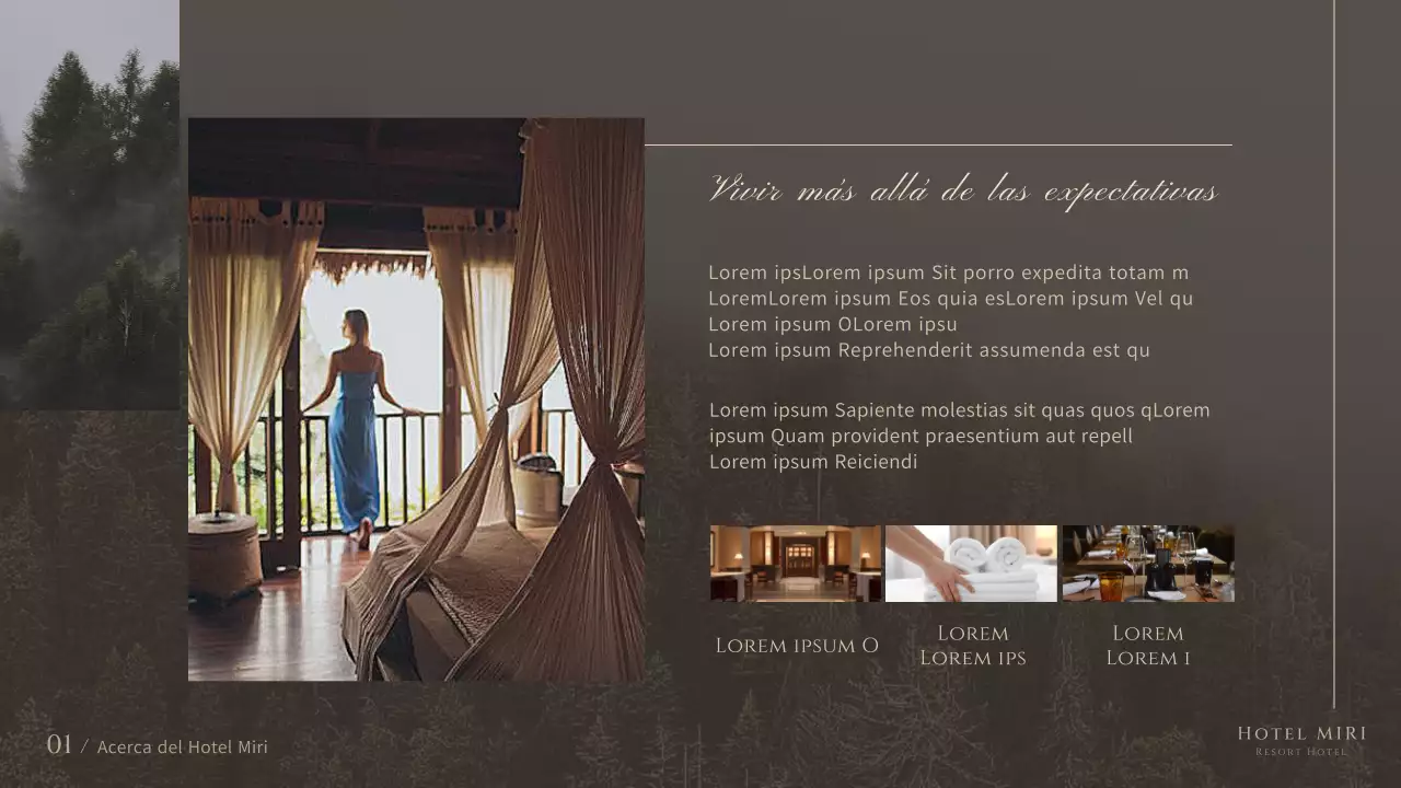 Un moderno y lujoso paquete hotelero en marrones y beiges Resumen del producto