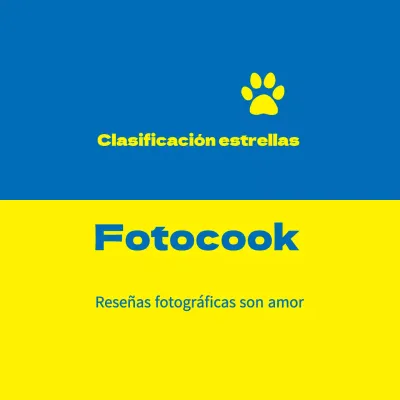 Pegatinas de revisión