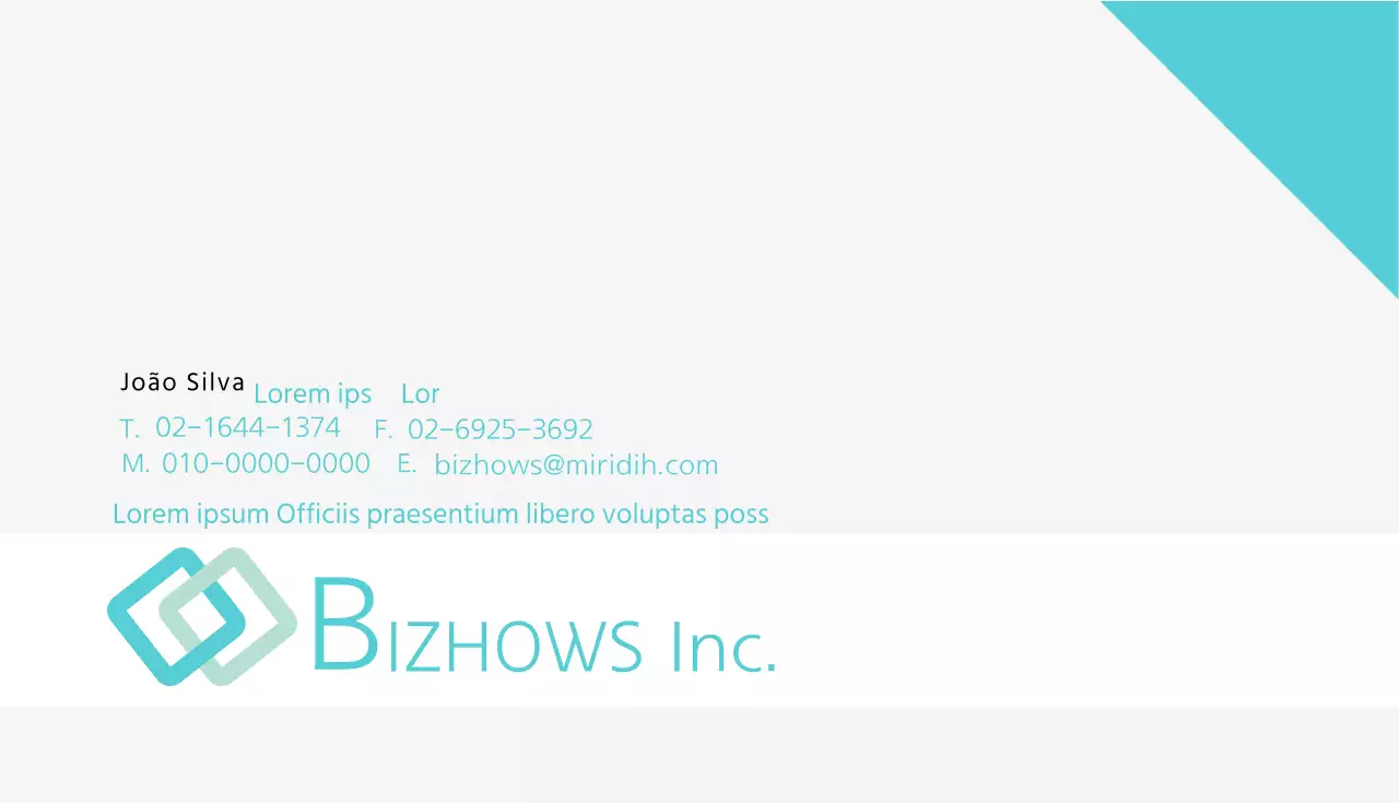 BiziNC