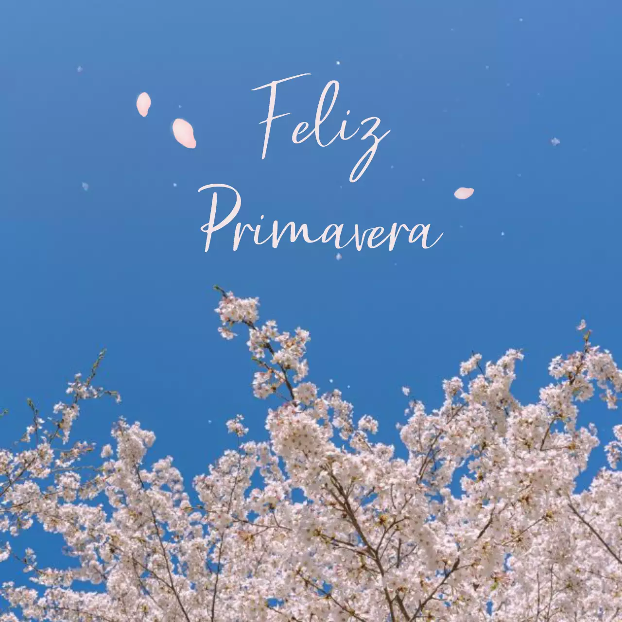 Diseño interior de una cafetería inspirada en los cerezos en flor