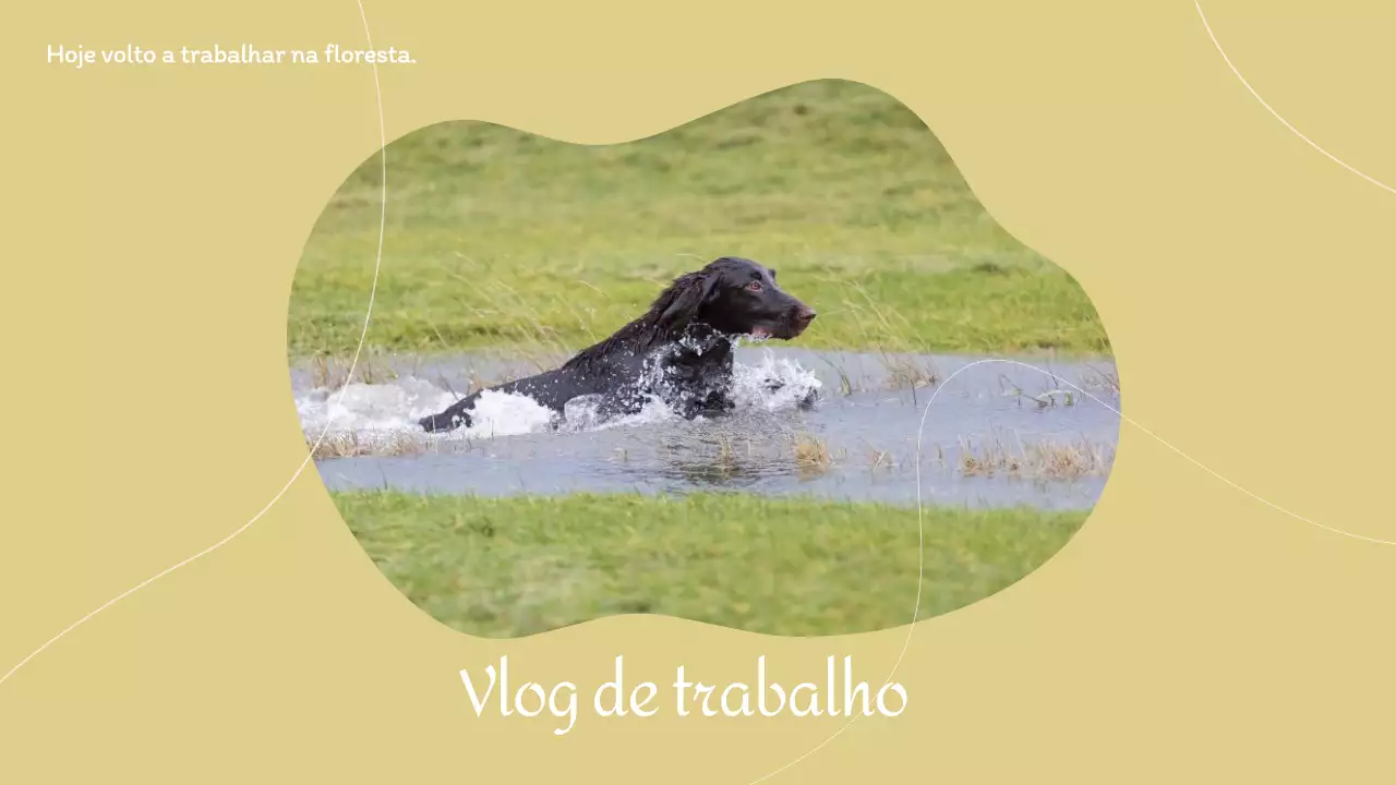 Yellow Work Vacation Miniatura do vlog do YouTube