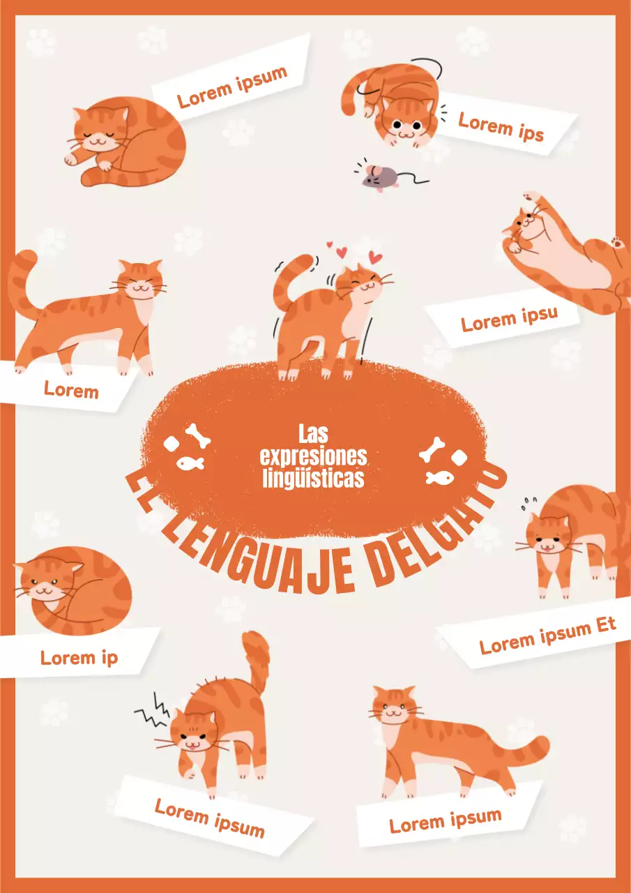 Webposter educativo verbalización gato marfil y naranja