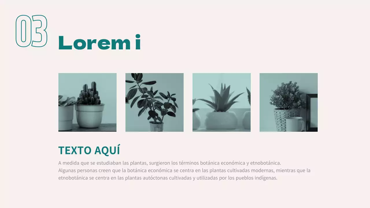 Presentación de informes comerciales