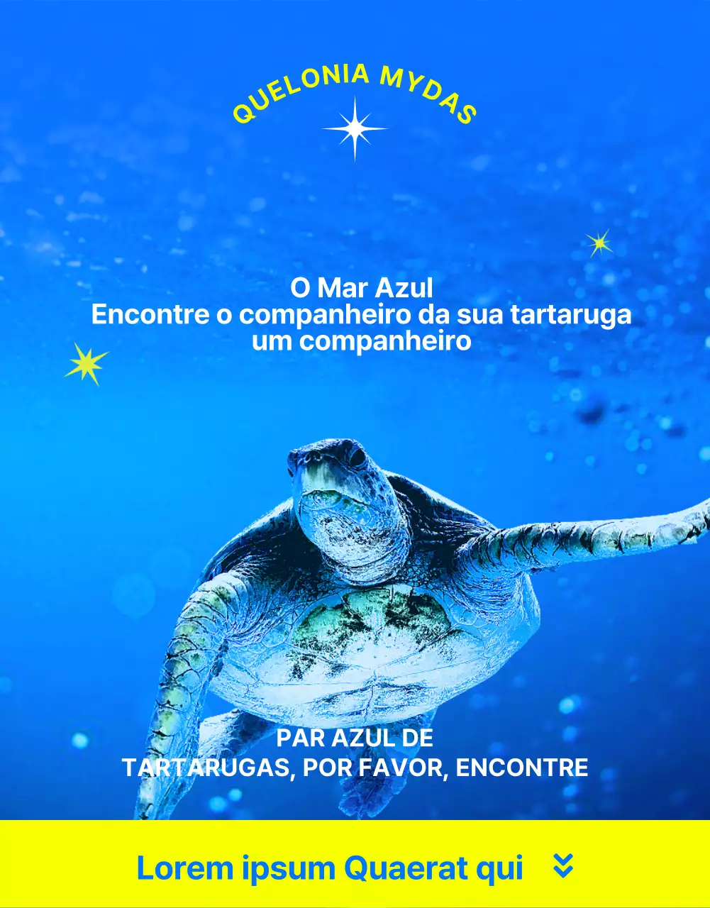 Financiamento para a conservação da tartaruga marinha azul e amarela, uma criatura dos recifes de coral em perigo de extinção.