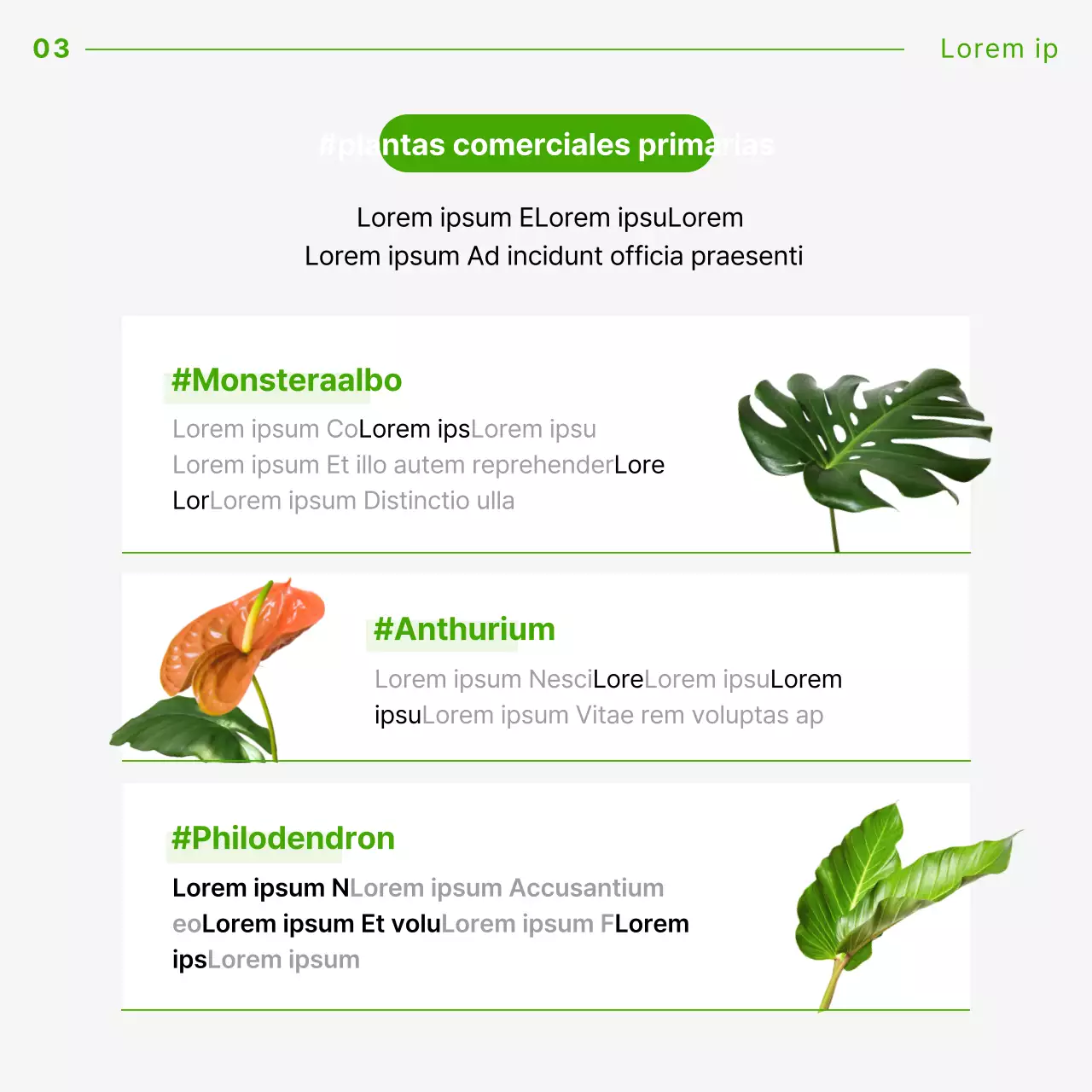 Guía práctica de tecnología alimentaria con una curva verde