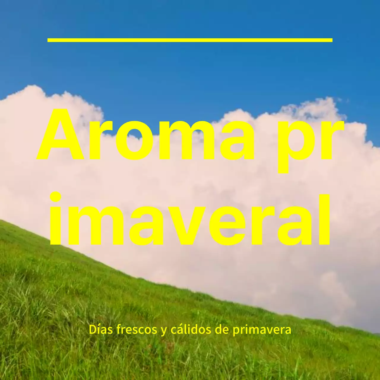 Tipografía en la fotografía de flores de primavera