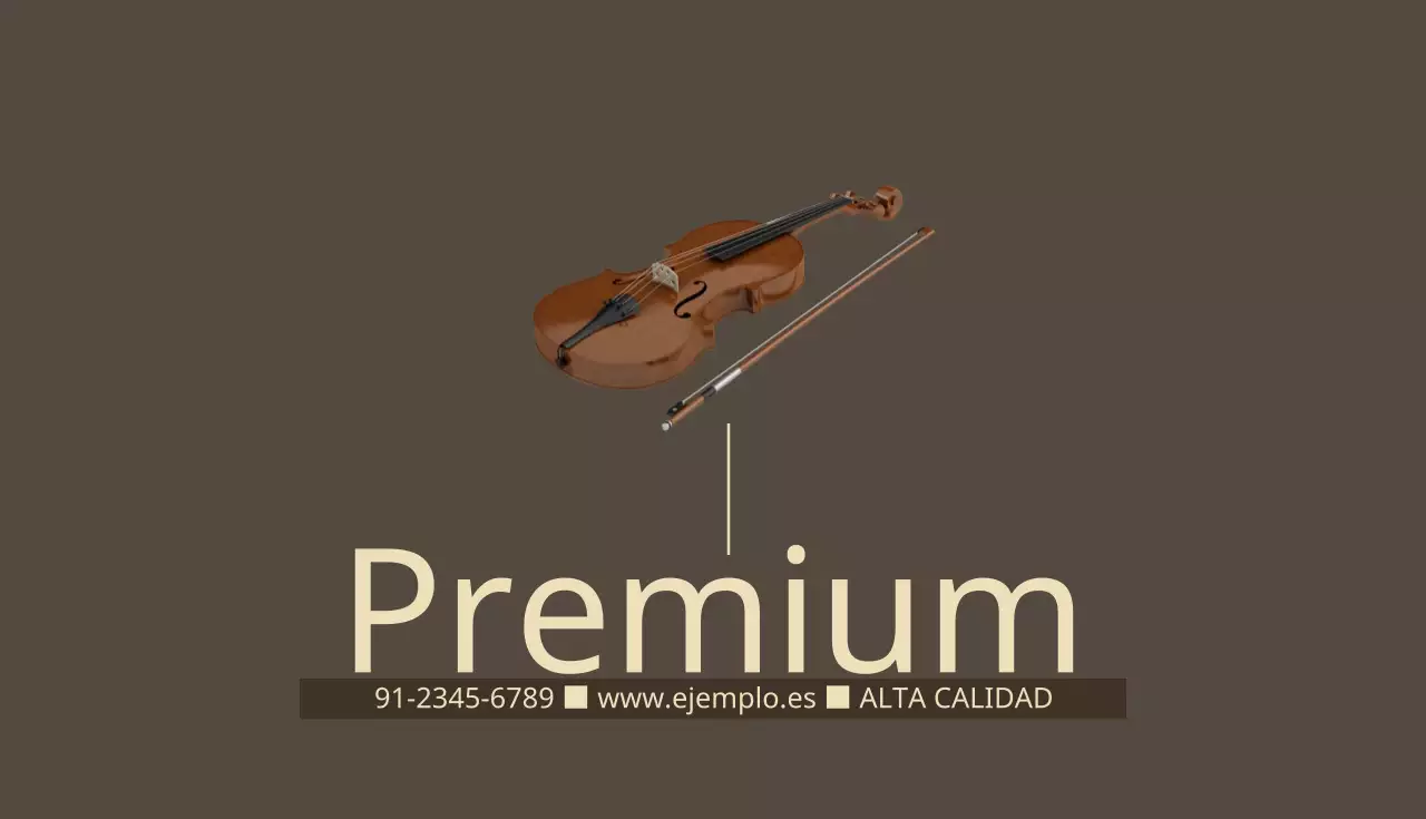 Violín