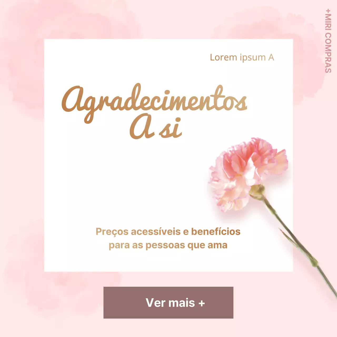 Dia do Professor