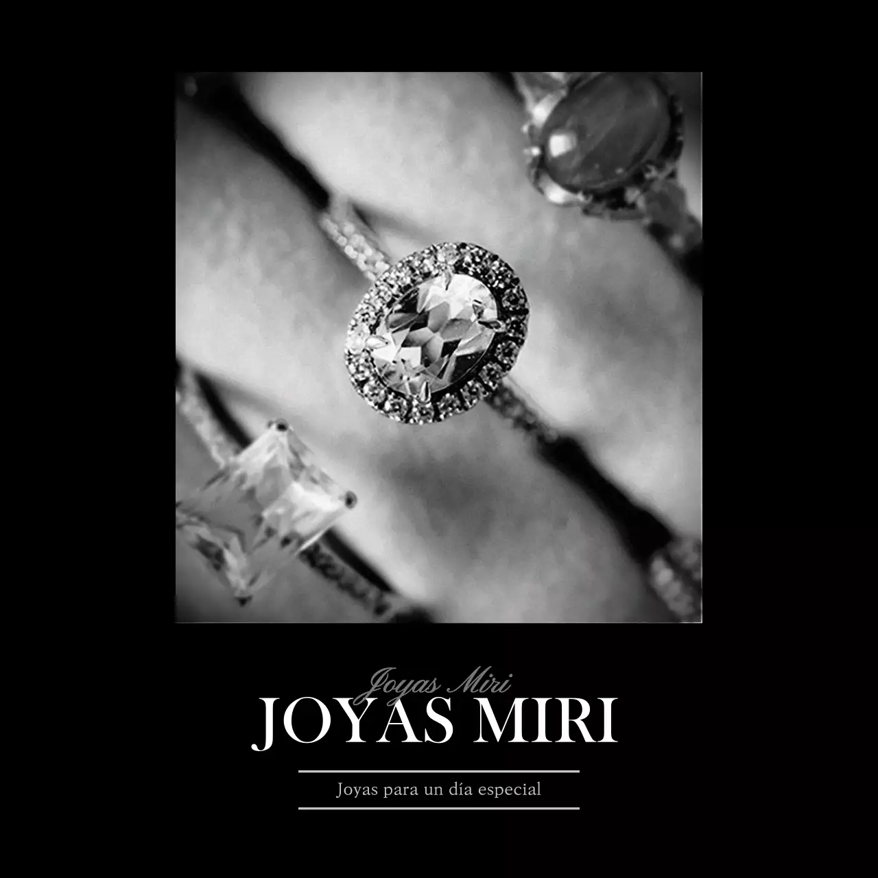 Presentamos los anillos de una joyería de lujo en blanco y negro