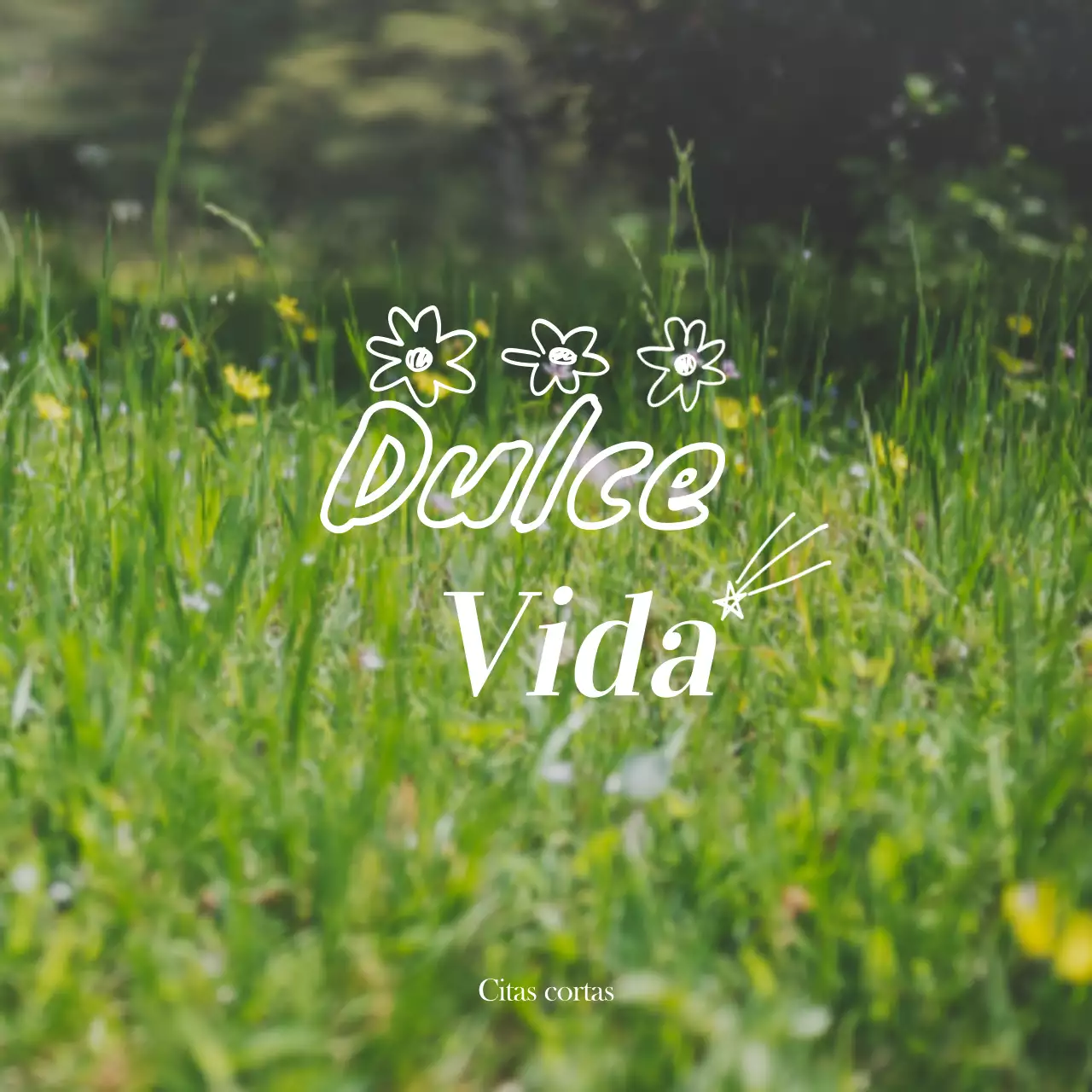 Mercancía con emotivas fotos de paisajes en blanco y amarillo y textos emotivos