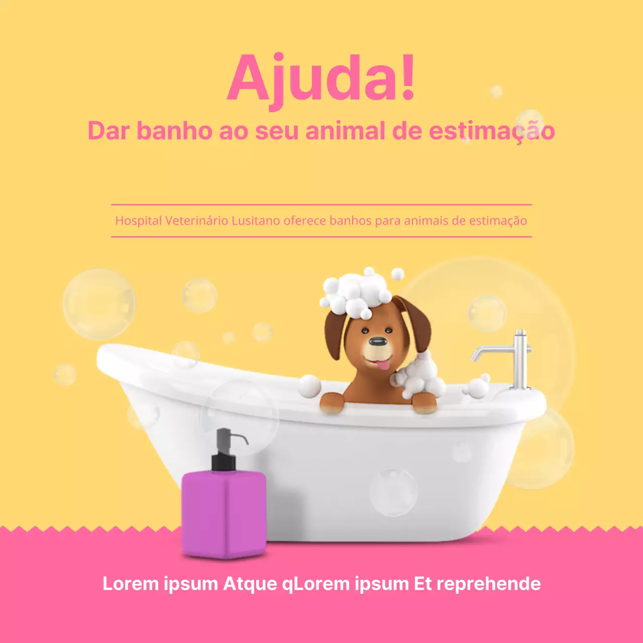Dar banho ao seu animal de estimação