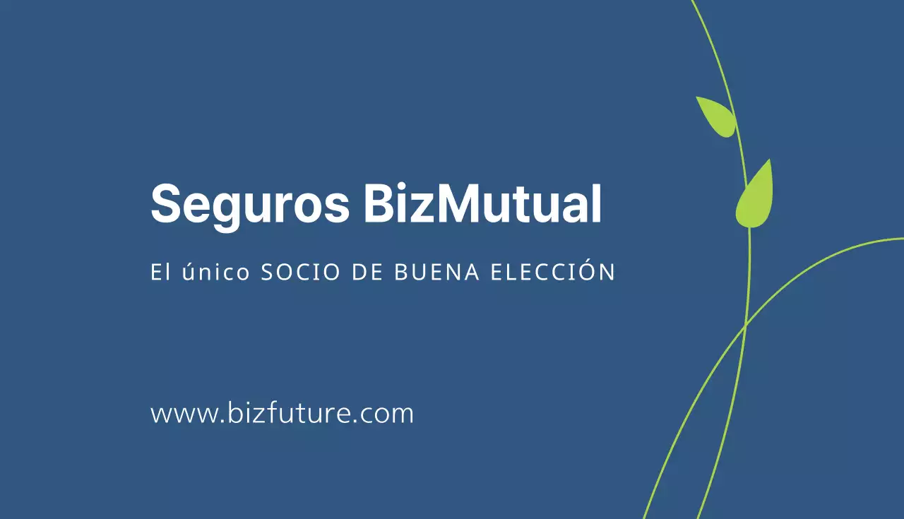 Seguros BizMirae