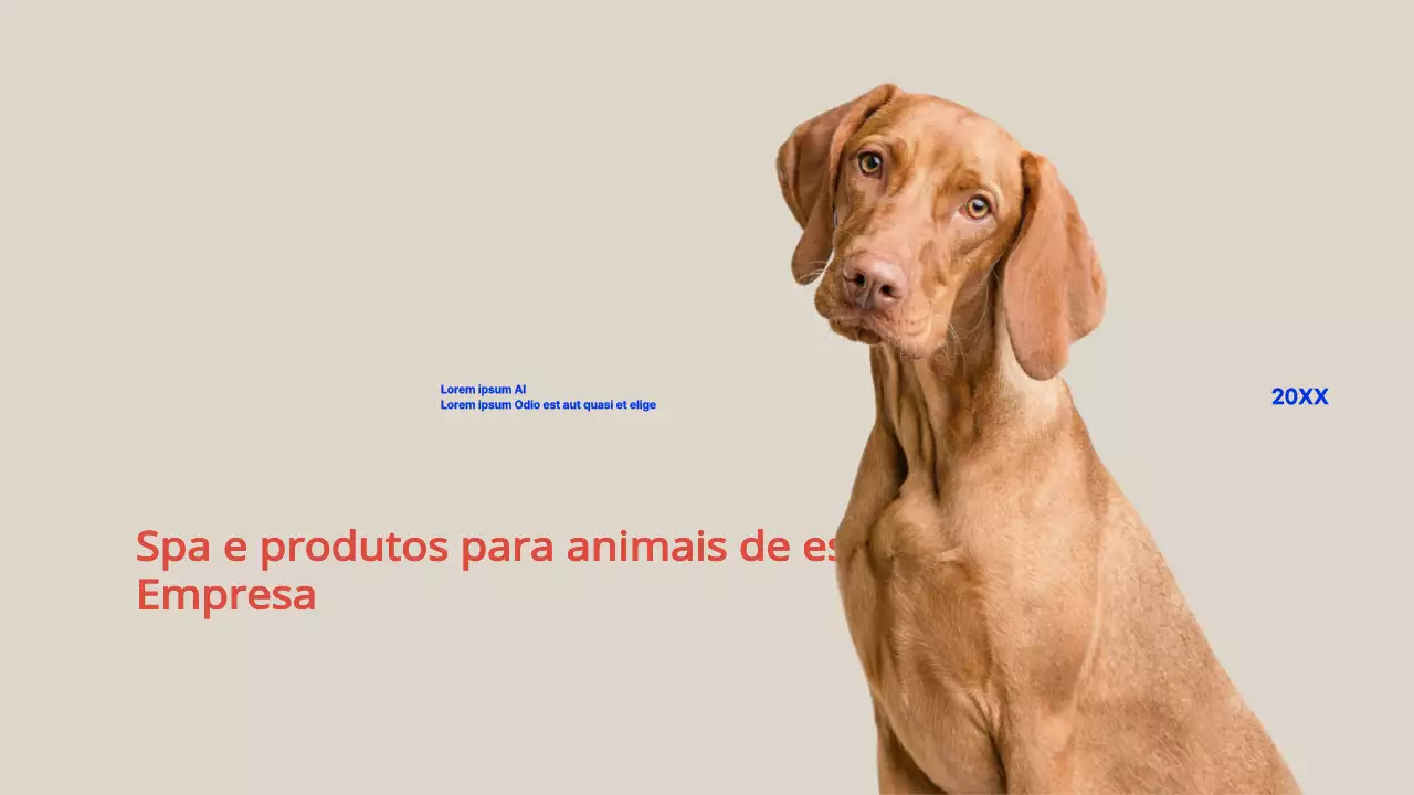 Perfil da empresa_Pet