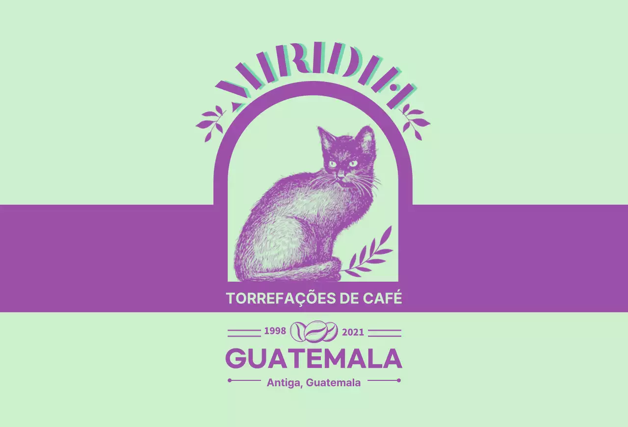 Um guia de marcas e grãos de café com um design tipográfico verde-limão e roxo3