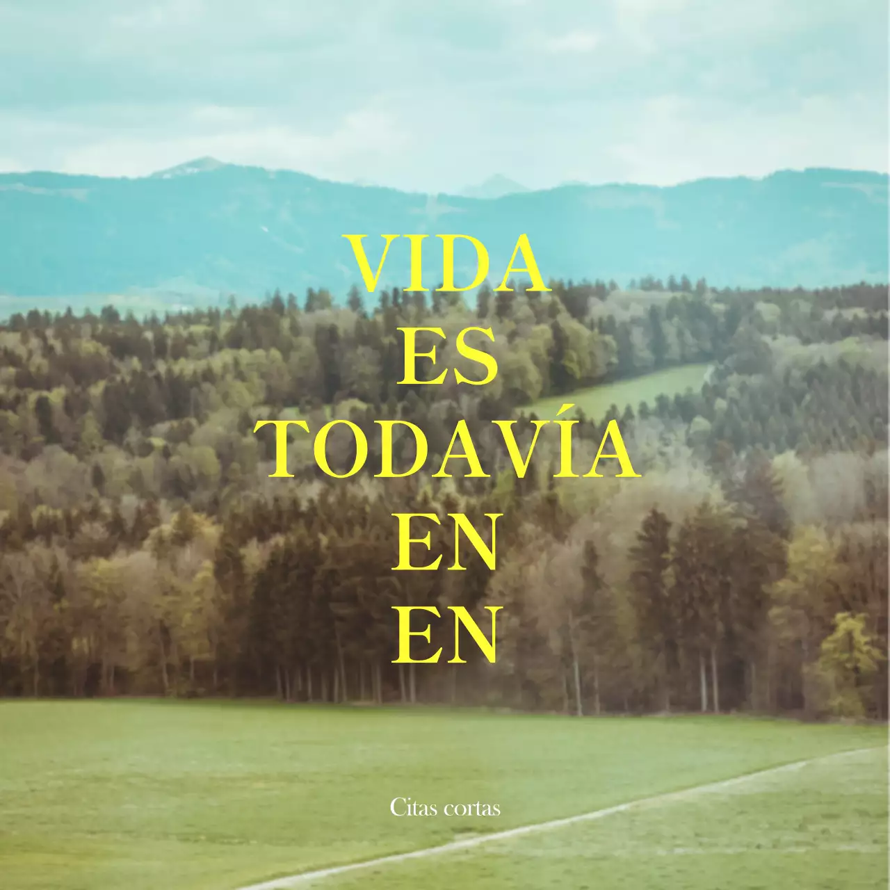 Mercancía con emotivas fotos de paisajes en blanco y amarillo y textos emotivos