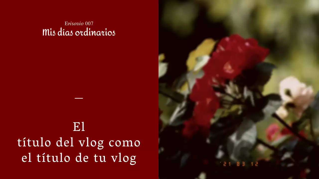 Fotografía cinematográfica emocional de Vino tinto Concepto Diario Vlog