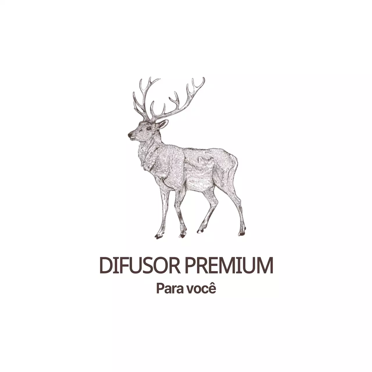 Velas Premium