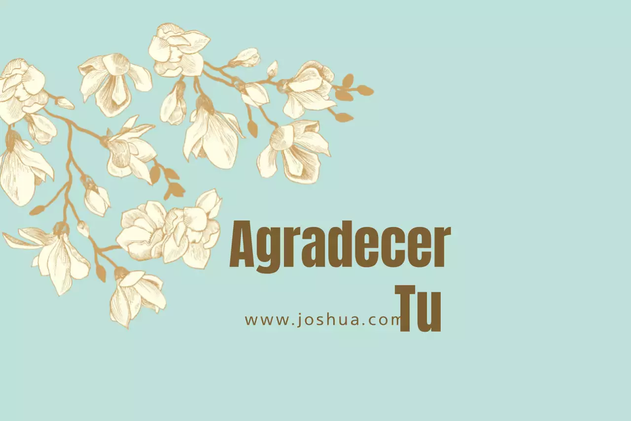 Auditoria