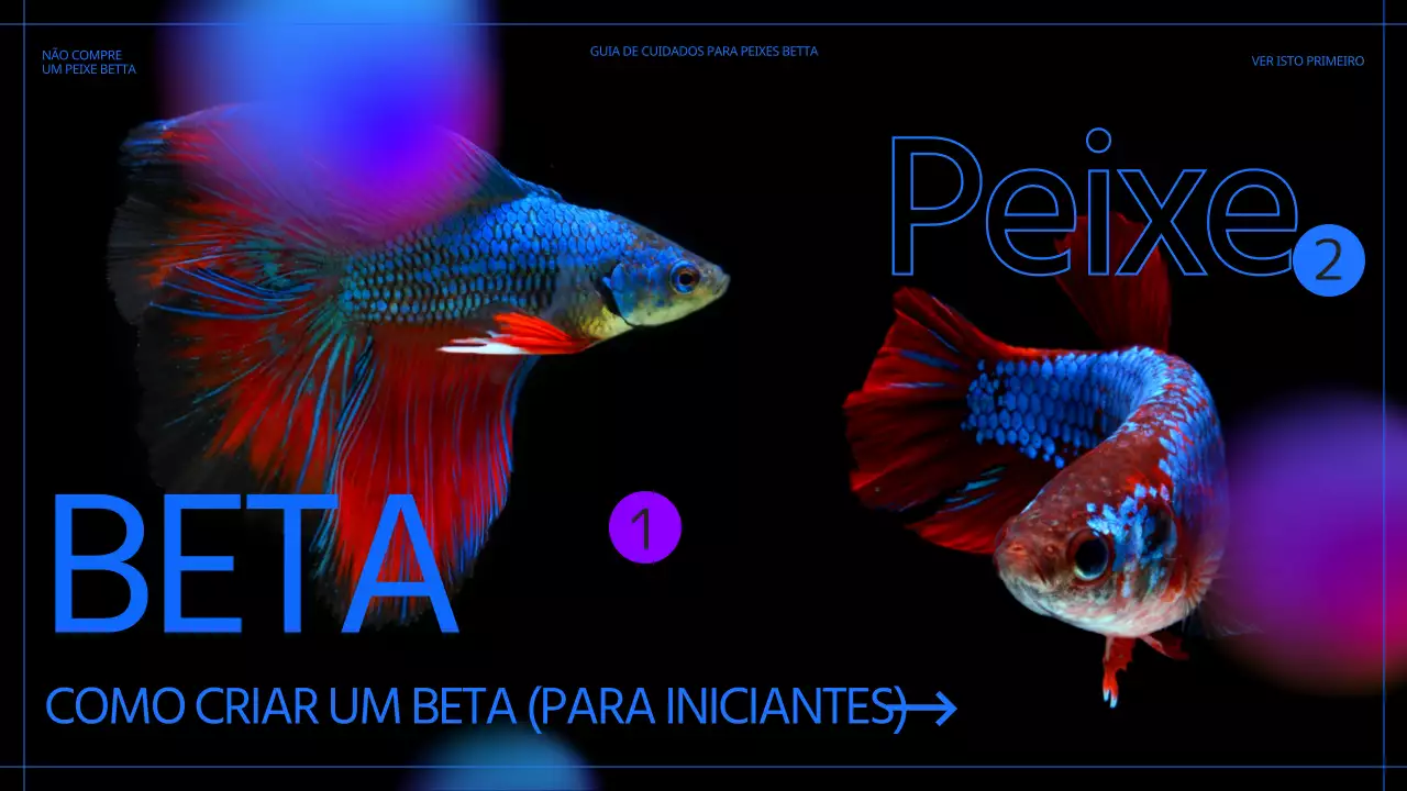 Criação de um peixe preto e azul para principiantes
