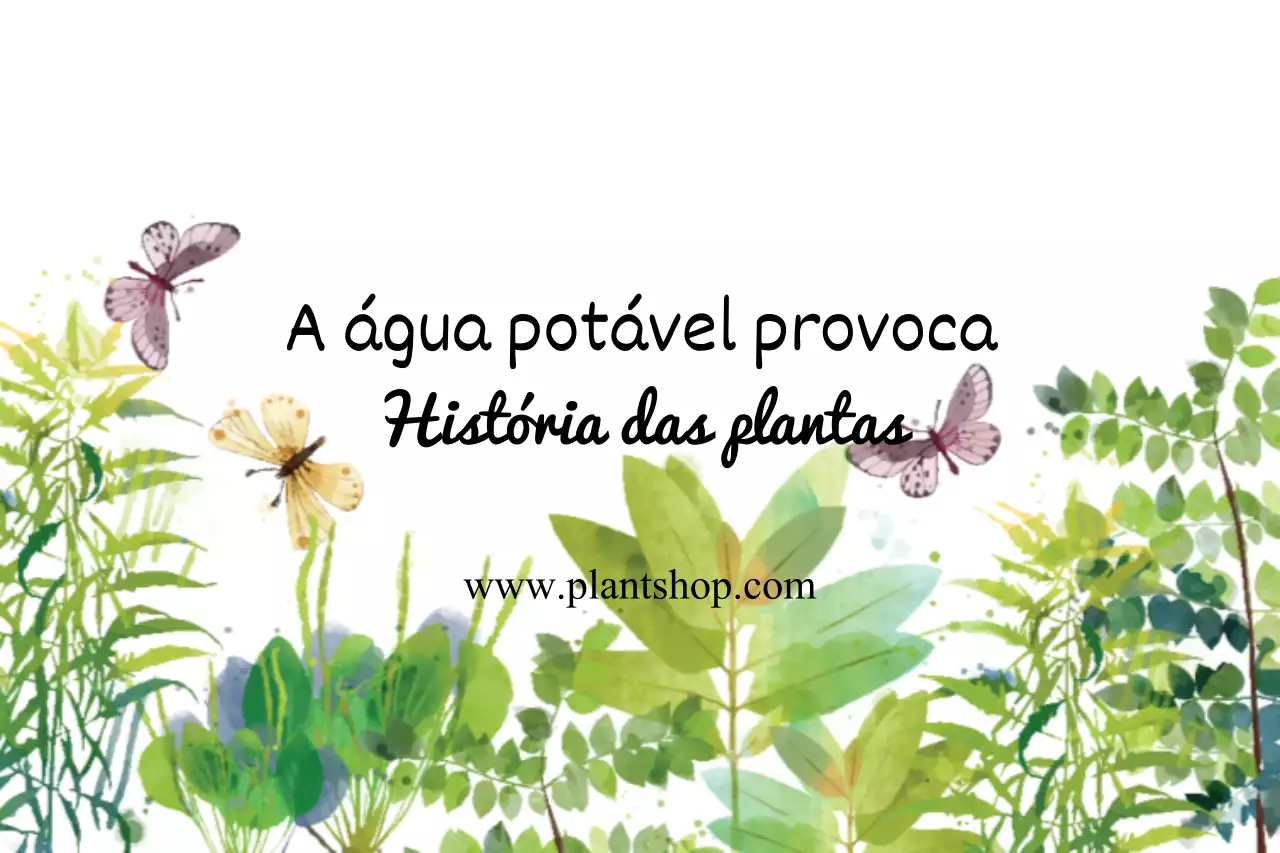 Plantas
