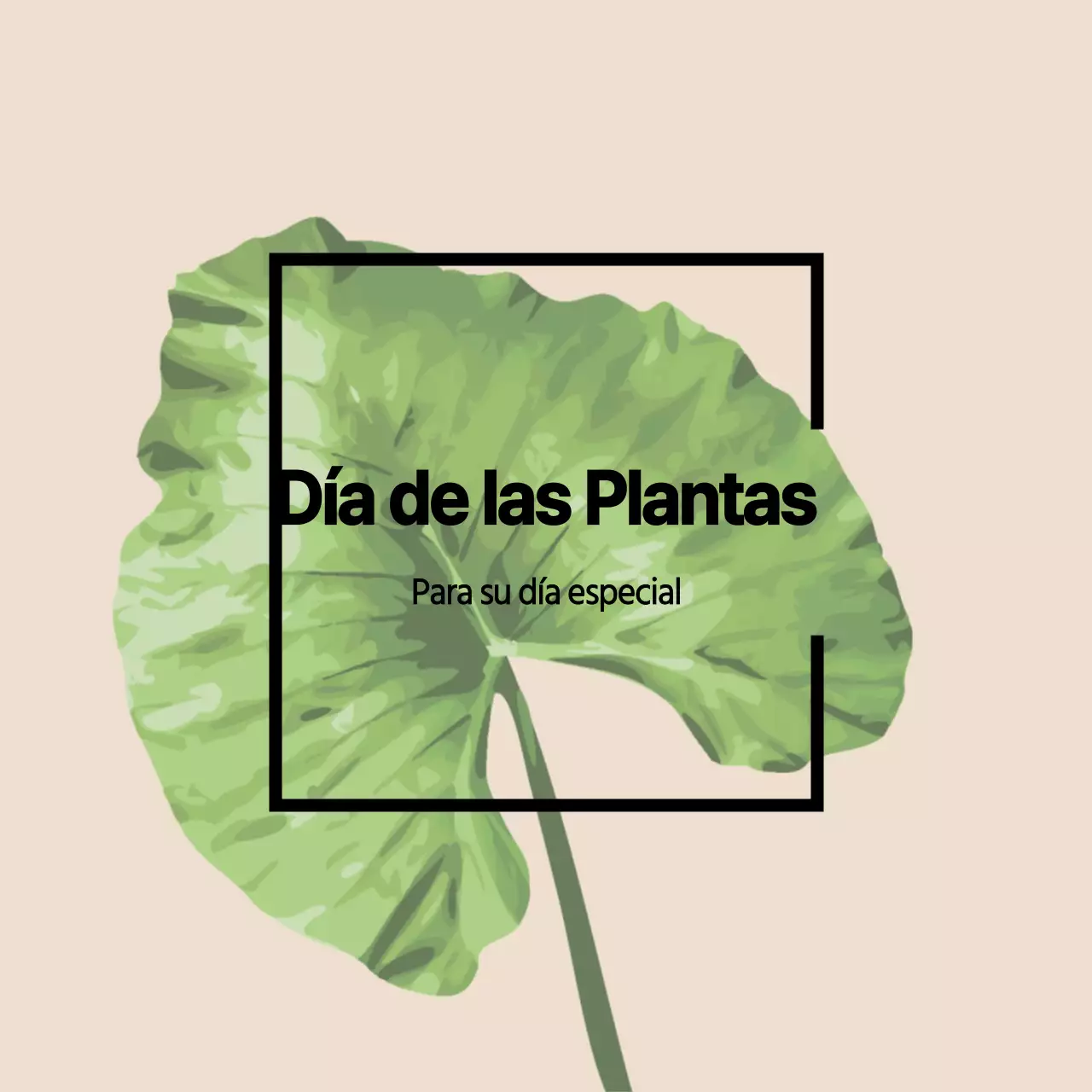 Plantas