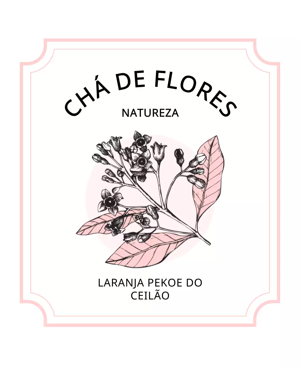 Luxuosas saquetas de chá com ilustrações de plantas e bagas em rosa pastel e azul claro