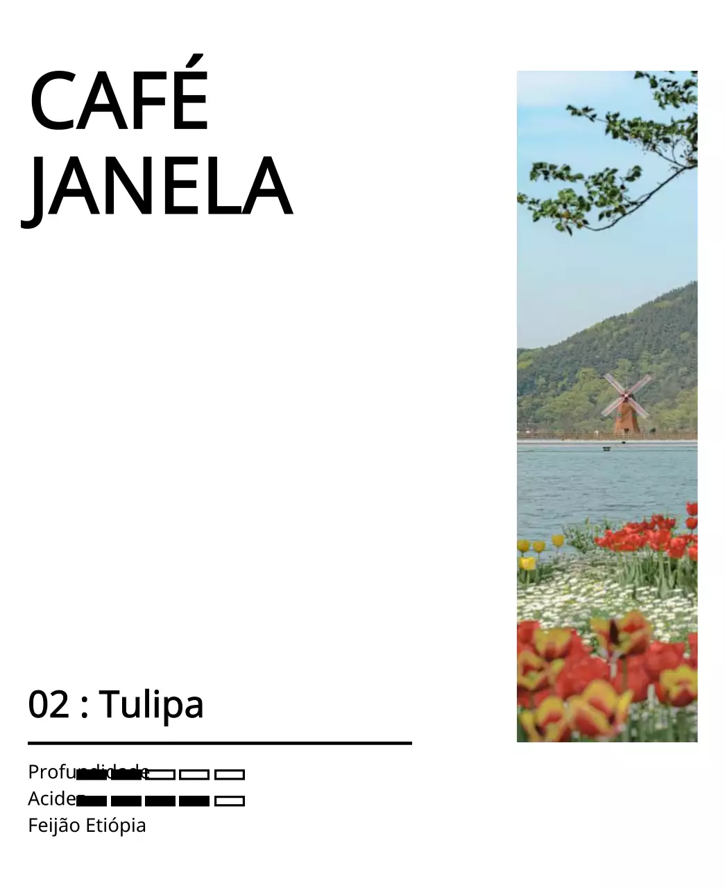 Um desenho simples com uma fotografia de paisagem de tulipas vintage a preto