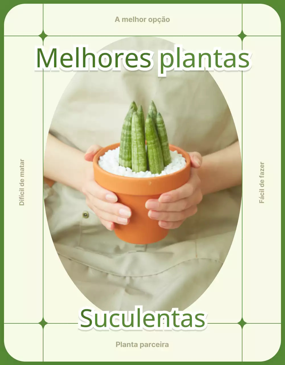 Página de pormenor das suculentas verdes e bege