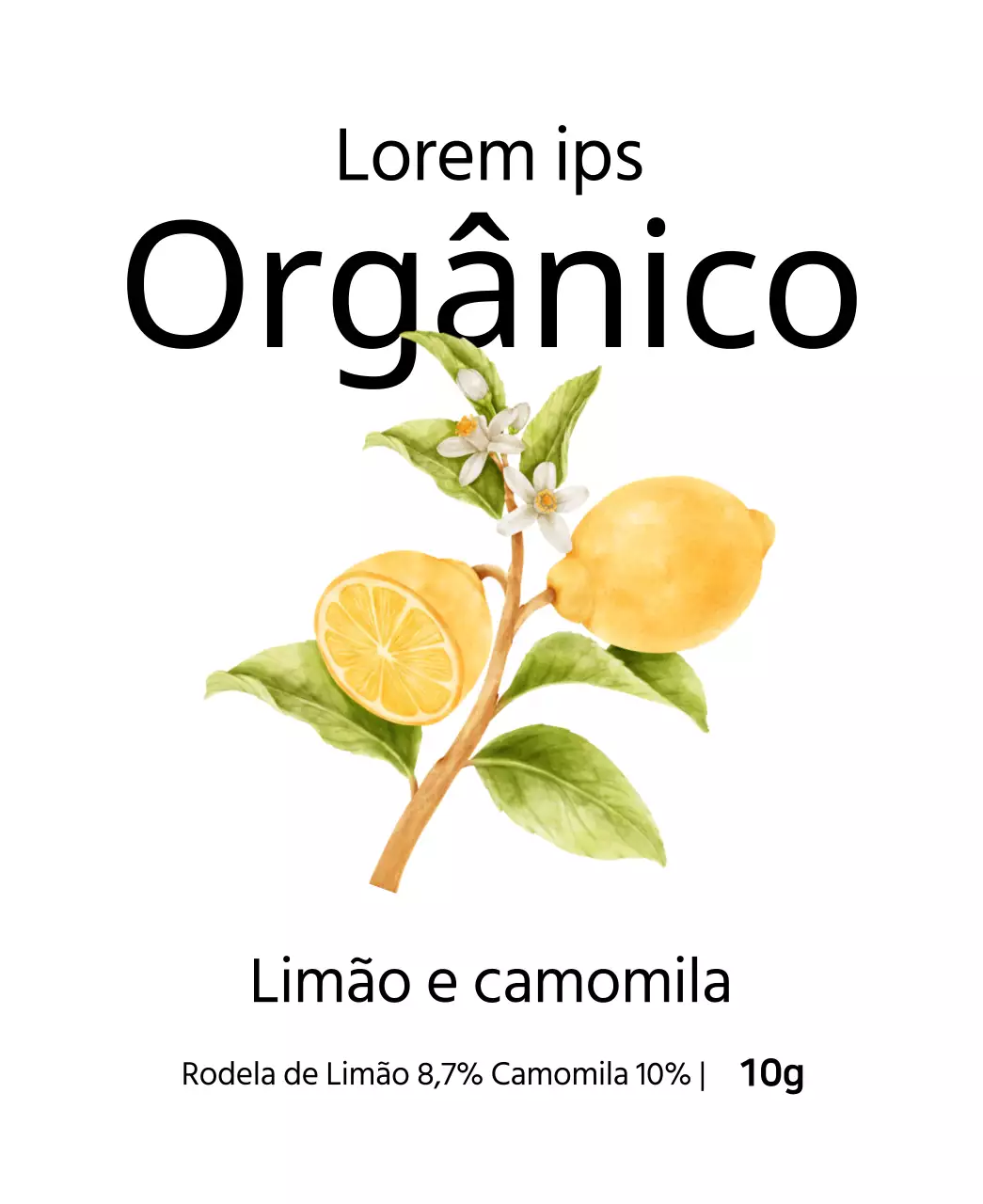 Saquetas de chá de frutas biológicas com ilustrações de frutas em aguarela