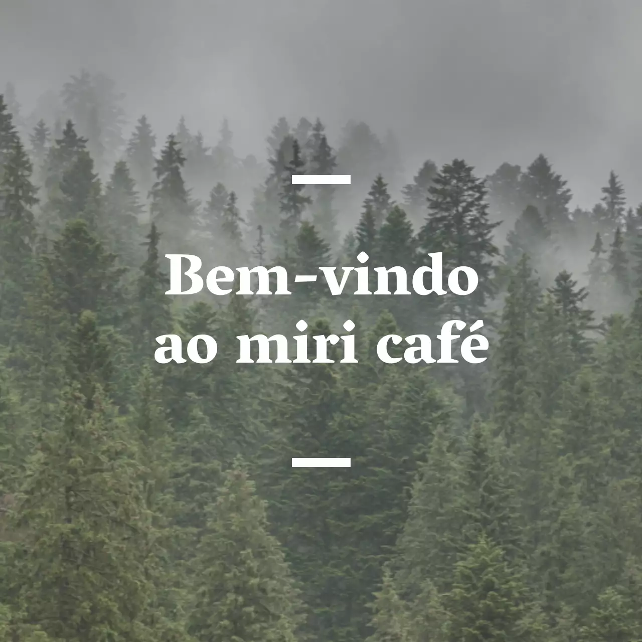 Café balsa de língua inglesa com sinalética sentimental com uma fotografia de uma floresta.