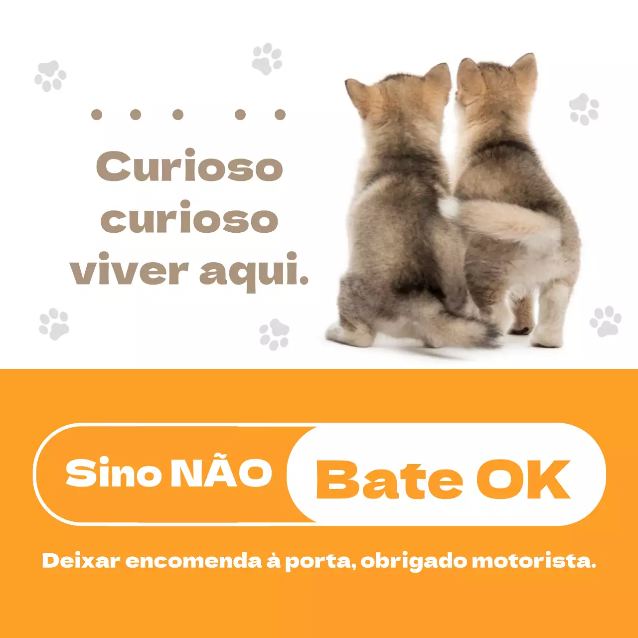 Laranja Cãozinho Fofo Casa